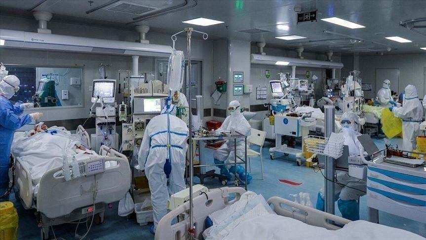 بستری‌های کرونایی در بوشهر به ۸۳ نفر رسید