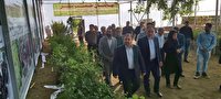 افتتاح گلخانه تولید نهال در روستای اوچ تپه کرد میاندوآب افتتاح گلخانه تولید نهال در روستای اوچ تپه کرد میاندوآب