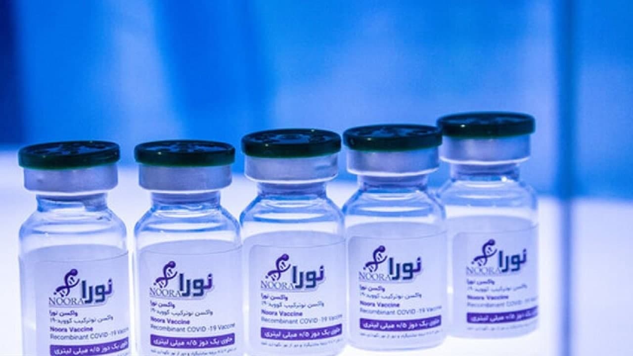 انتشار مقاله پیش بالینی و مرحله یکم مطالعه بالینی واکسن نورا انتشار مقاله پیش بالینی و مرحله یکم مطالعه بالینی واکسن نورا