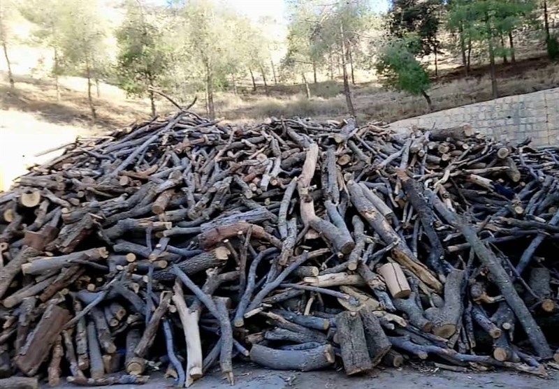 کشف چوب قاچاق در ممسنی کشف چوب قاچاق در ممسنی
