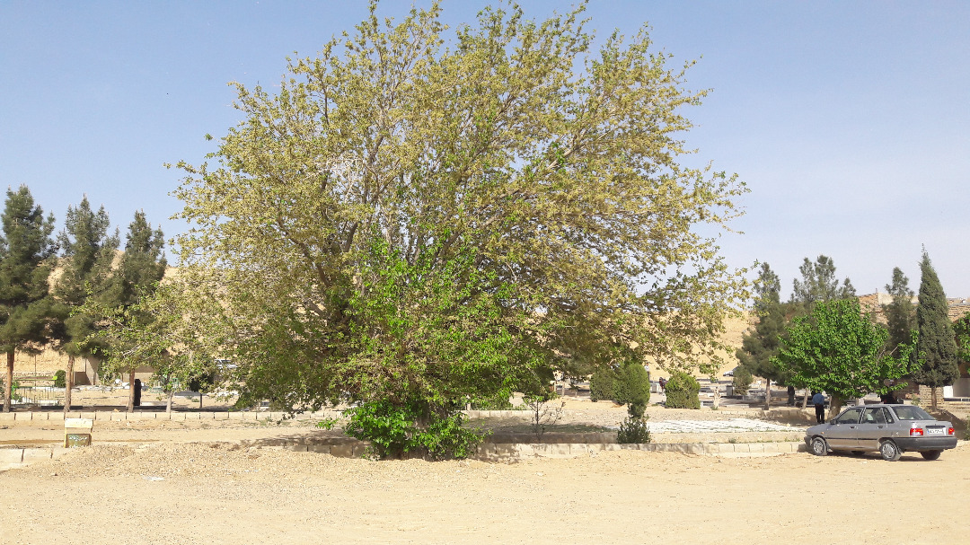 ثبت ملی ۶ میراث طبیعی به استاندار خراسان شمالی