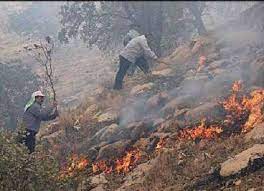 وقوع ۳۰ مورد آتش سوزی در جنگل‌ها و مراتع خوزستان