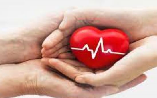 ثبت بیست و نهمین اهدا عضو یزد در سال جاری ثبت بیست و نهمین اهدا عضو یزد در سال جاری