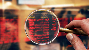 سهام شرکت های دولتی