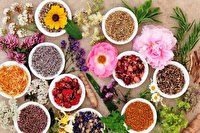 سیستان و بلوچستان رویشگاه گیاهان دارویی کمیاب