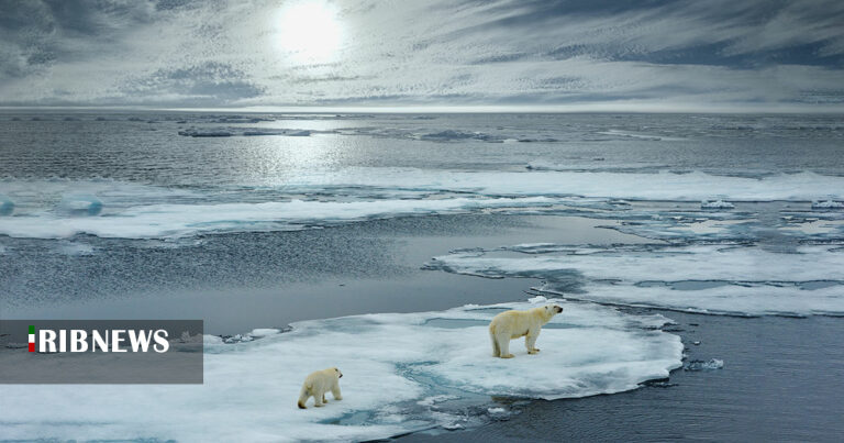 اسیدی‌شدن اقیانوس
