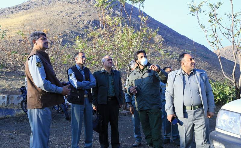 فقدان کنترل کننده طبیعی تهدیدی برای جمعیت حیات وحش است فقدان کنترل کننده طبیعی تهدیدی برای جمعیت حیات وحش است