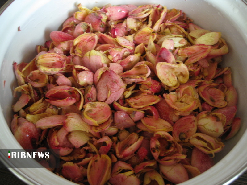 پماد ترمیم زخم  پوست پسته