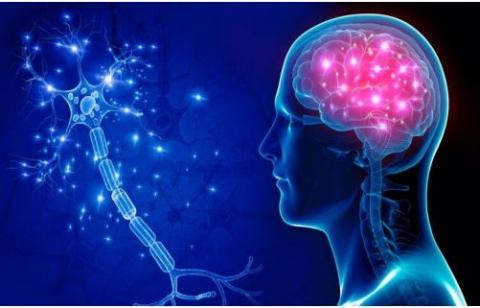 حاج آقایی// حمایت ۵۰ درصدی از تامین تجهیز آزمایشگاههای تخصصی علوم شناختی حاج آقایی// حمایت ۵۰ درصدی از تامین تجهیز آزمایشگاههای تخصصی علوم شناختی