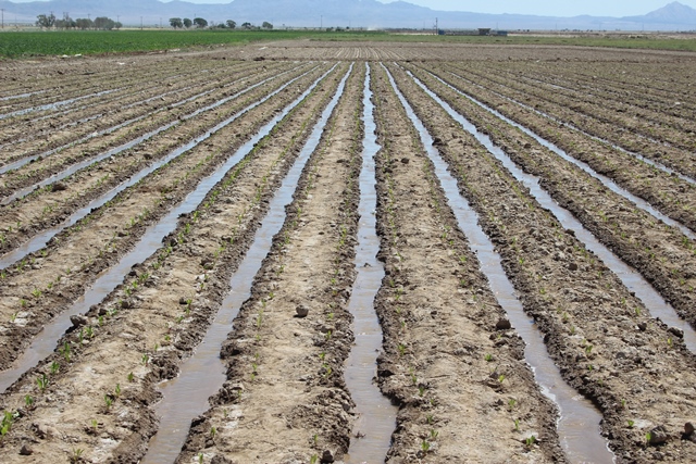 بهره برداری از منابع آبی با کمک فناوریهای نوین در قزوین بهره برداری از منابع آبی با کمک فناوریهای نوین در قزوین