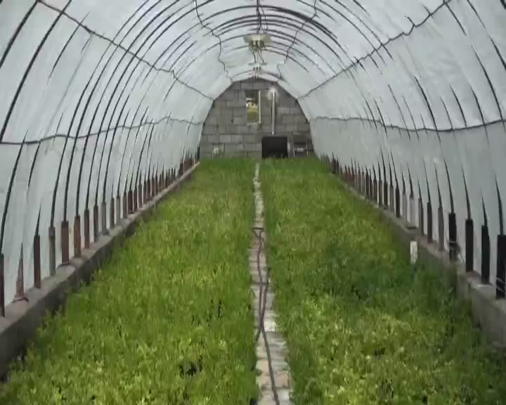 بهره برداری از منابع آبی با کمک فناوریهای نوین در قزوین بهره برداری از منابع آبی با کمک فناوریهای نوین در قزوین