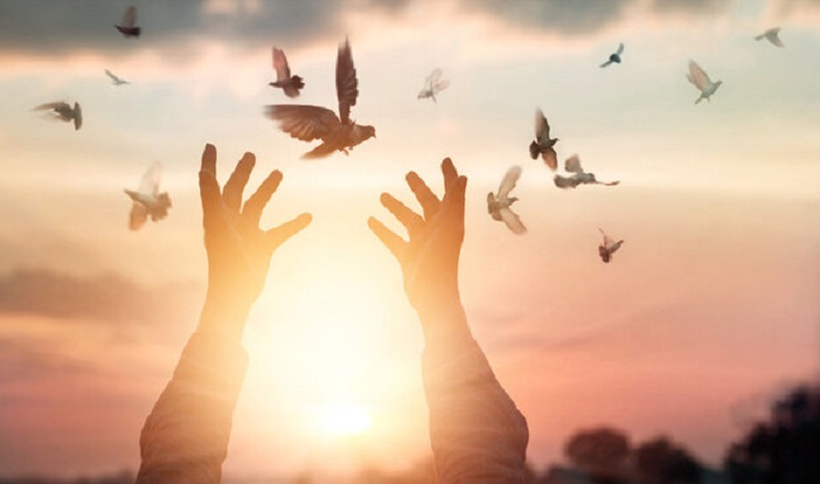 زندگی دوباره تبعه خارجی پس از ۳ سال با تلاش شورای حل اختلاف