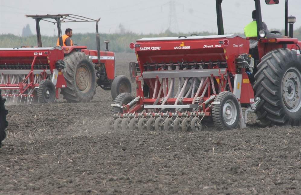افزایش ۳۰ درصدی تولید محصول دیم کشور با وجود خشکسالی
