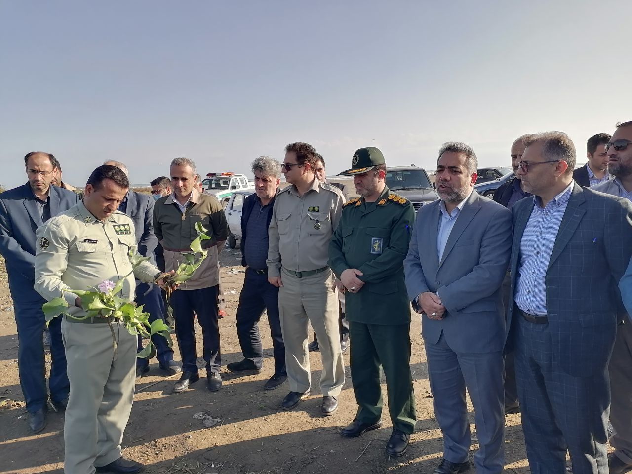 جمع آوری سنبل آبی، هیولای خوش خط و خال در دریای خزر رودسر