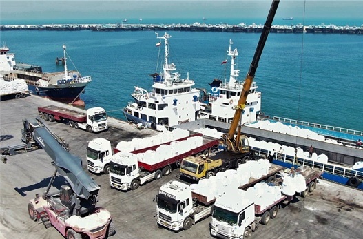 تخلیه بیش از ۳۴۰ هزار تُن گندم در بندر شهید رجایی آغاز شد