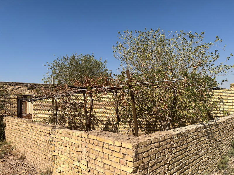 رفع تجاوز‌ها به حریم خطوط شرکت برق منطقه‌ای یزد