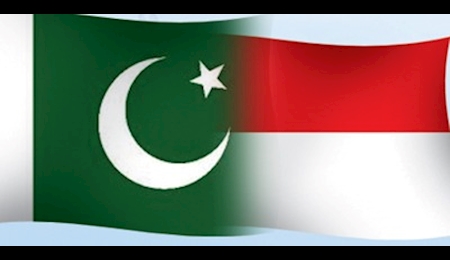 ابراز همدردی پاکستان با دولت و مردم اندونزی