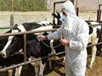 آغاز رزمایش جهادی امنیت پایدار غذایی درچالدران