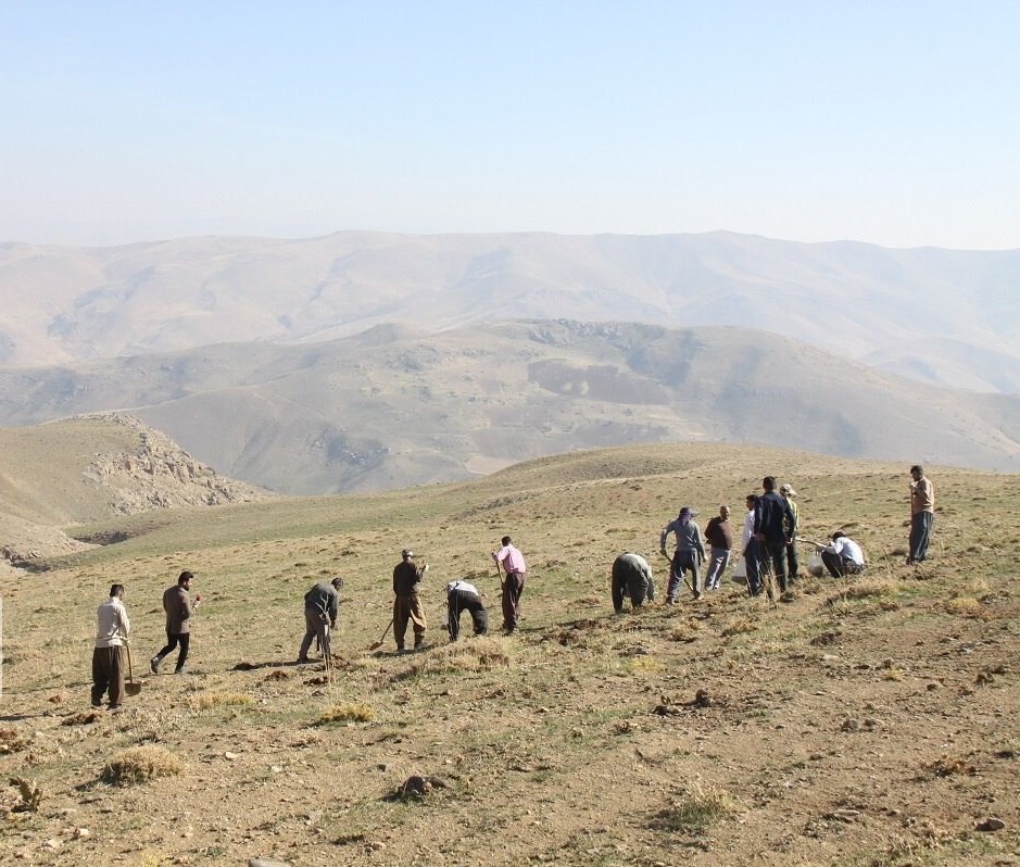 آغاز کپه‌کاری و بذرکاری در مراتع آشتیان