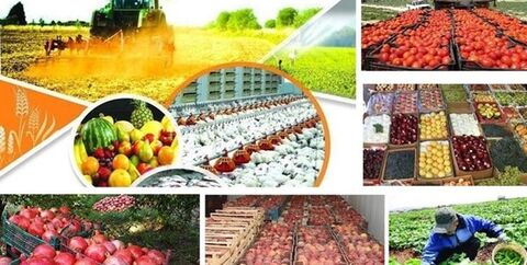 برنامه های خود کفایی دولت در کالاهای اساسی