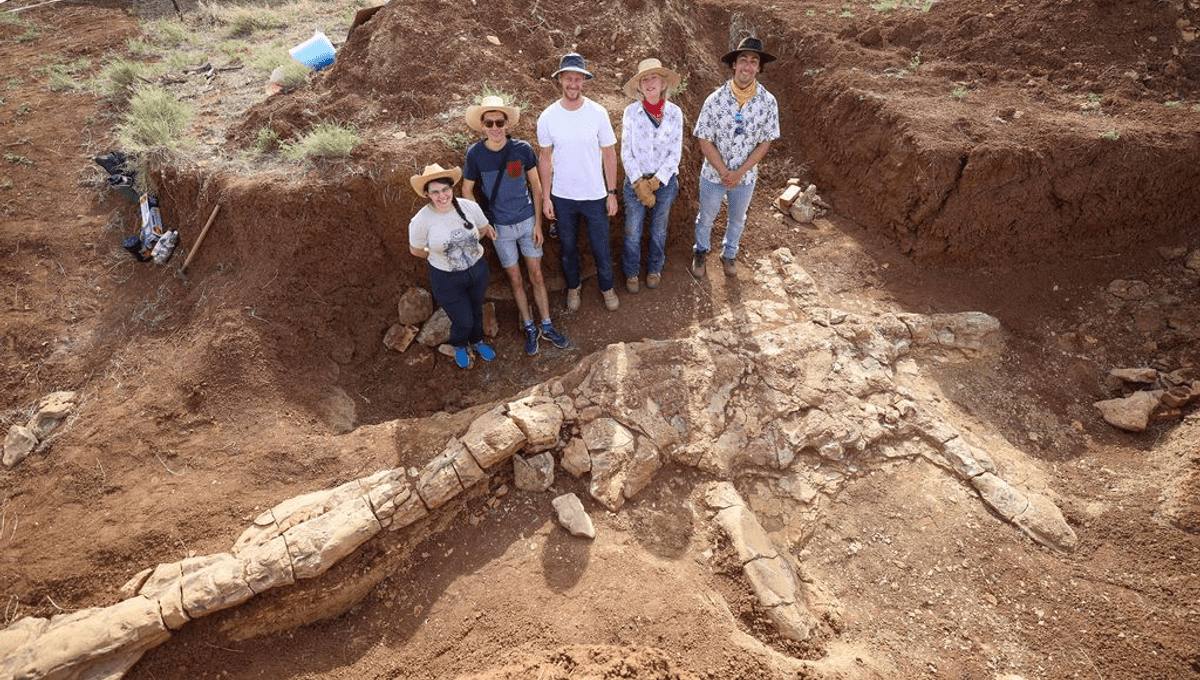 کشف فسیل هیولای دریایی ۱۰۰ میلیون ساله در استرالیا