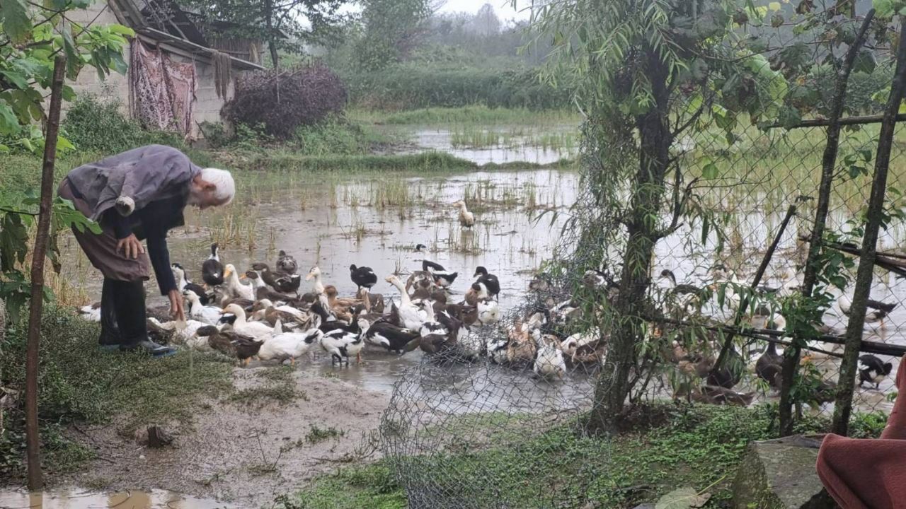 رونق اشتغال پایدار در فومن با پرداخت تسهیلات رونق اشتغال پایدار در فومن با پرداخت تسهیلات