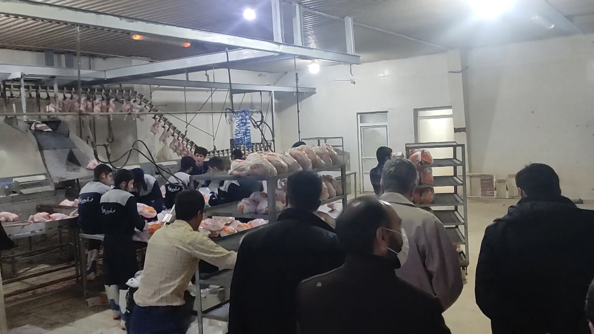 مشکلی برای تامین مرغ در چهارمحال و بختیاری وجود ندارد +فیلم