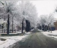 برف و باران در راه البرز