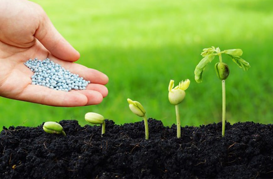 صدور بیش از ۱۹ هزار حواله کود یارانهای در استان یزد صدور بیش از ۱۹ هزار حواله کود یارانهای در استان یزد