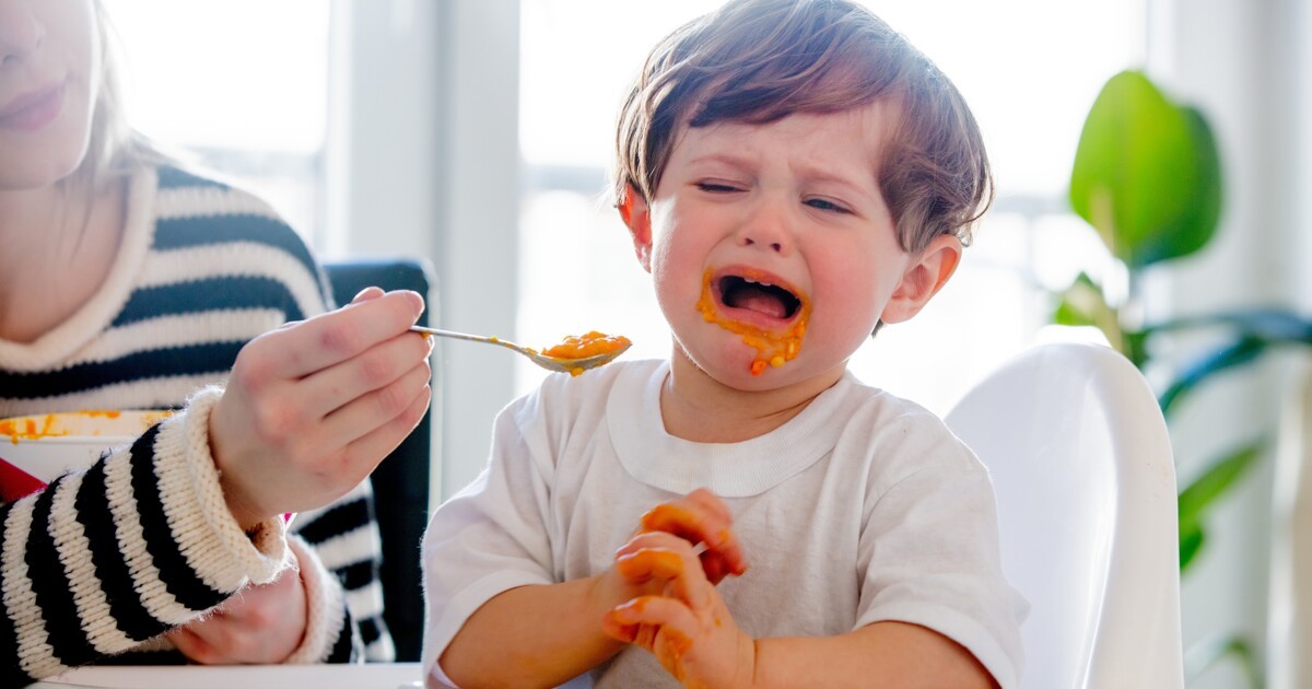 والدین چه زمانی باید نگران غذا نخوردن کودکشان باشند؟