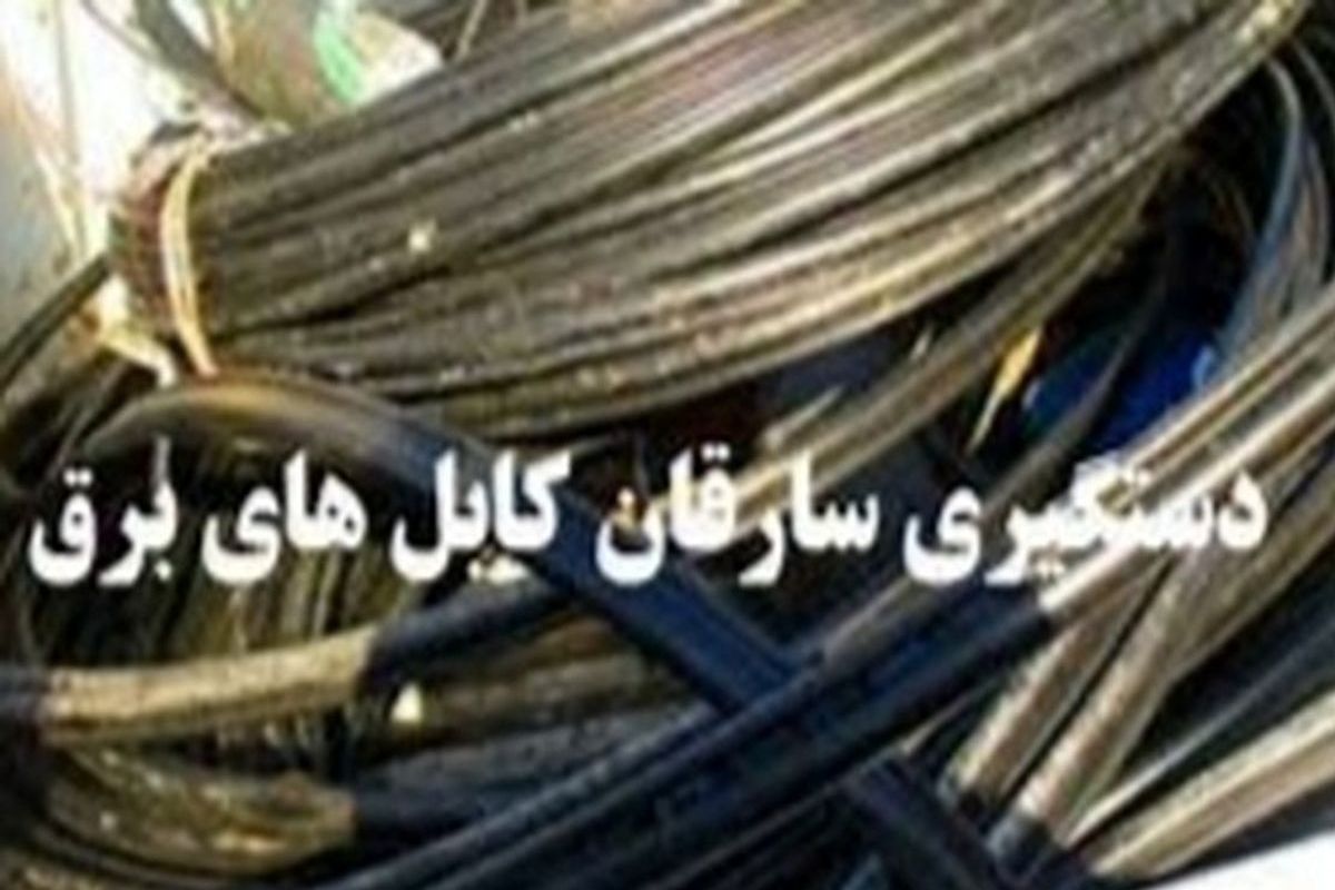 دستگیری سارقان سیم برق با اعتراف به ۱۵ فقره سرقت در کهگیلویه