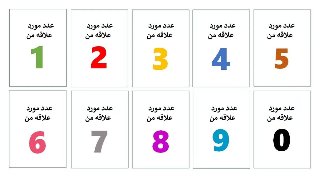 از روی عدد مورد علاقه‌تان به شخصیت خود پی ببرید
