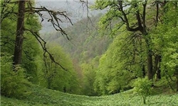 قائمشهر، شهری سرسبز با آثار تاریخی در مازندران
