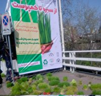 تحویل سبزه‌های نوروز در ۳۲ نقطه در شهر اصفهان