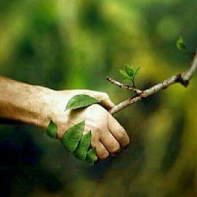 در طبیعت آتش روش نکنیم