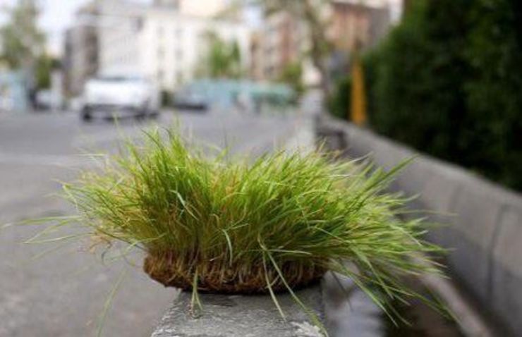 رانندگان در روز طبیعت سبزه عید را درسطح خیابان رها نکنند 
