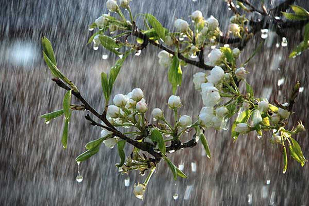تداوم بارش‌های بهاری در خراسان رضوی تا روز سه‌شنبه
