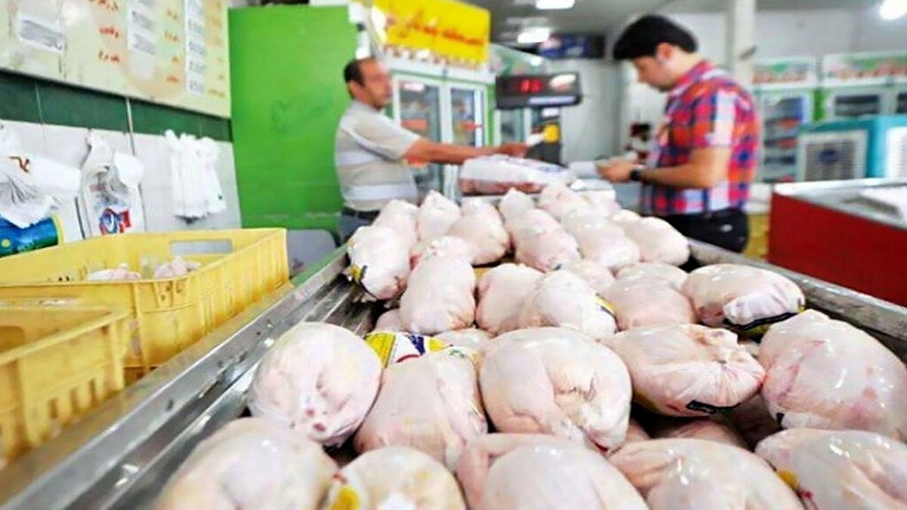 توزیع ۴۳۶  گوشت مرغ گرم در آذربایجان‌غربی