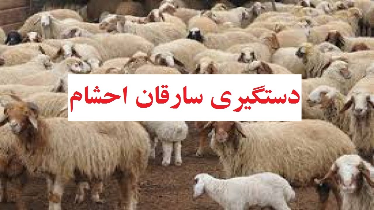 متلاشی باند سارقان احشام در دزفول