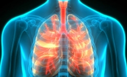 درمان موثر برای بیماری‌های ریه با نانوذرات جدید
