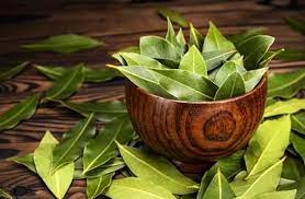 یک کاسه برگ بو