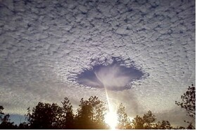 راهکار محققان کشور برای ارائه پاسخ‌های علمی به