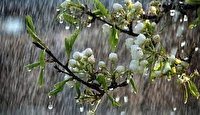ارومیه، رکورددار بارش شبانه روز گذشته  در آذربایجان غربی