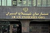 بررسی افزایش 82 درصدی صید ماهیان استخوانی در آبهای دریای خزر