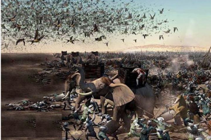 سرگذشت اصحاب فیل به روایت «باغ رضوان»