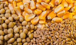 ادامه افزایش قیمت محصولات اساسی در بازارهای جهانی