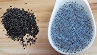 دانه کوچک سیرکننده و کاهنده عطش
