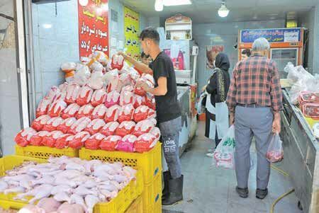 هزینه های تولید مرغ کاهش می یابد هزینه های تولید مرغ کاهش می یابد