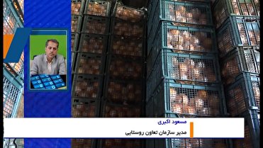 توزیع خرمای تنظیم بازاری به مناسبت ماه رمضان