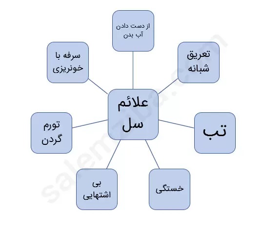 روز جهانی بیماری سل، راههای تشخیص بیماری سل و نشانههای آن روز جهانی بیماری سل، راههای تشخیص بیماری سل و نشانههای آن